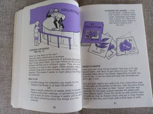 Fun In Cubbing - A Handbook for Nine Year-Old Cubs