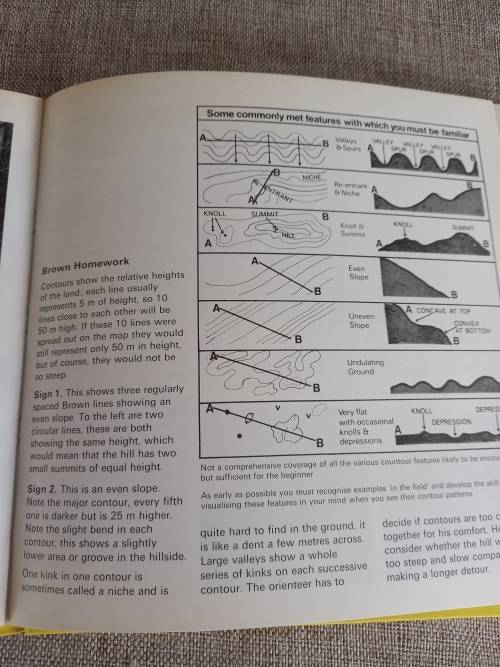 Orienteering - M. Henley