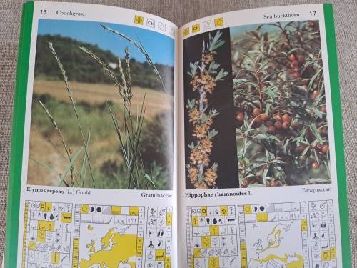 Wild Herbs a field guide: Aromatic, Medicinal, Culinary