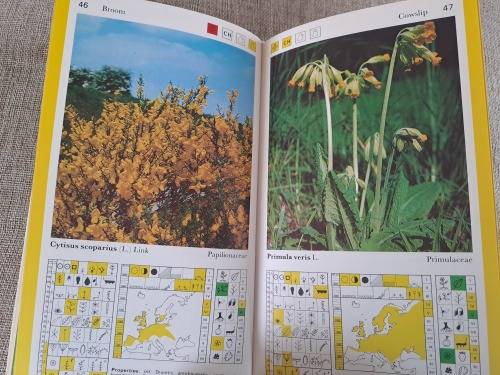 Wild Herbs a field guide: Aromatic, Medicinal, Culinary
