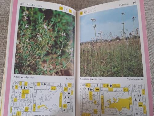 Wild Herbs a field guide: Aromatic, Medicinal, Culinary