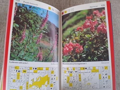 Wild Herbs a field guide: Aromatic, Medicinal, Culinary