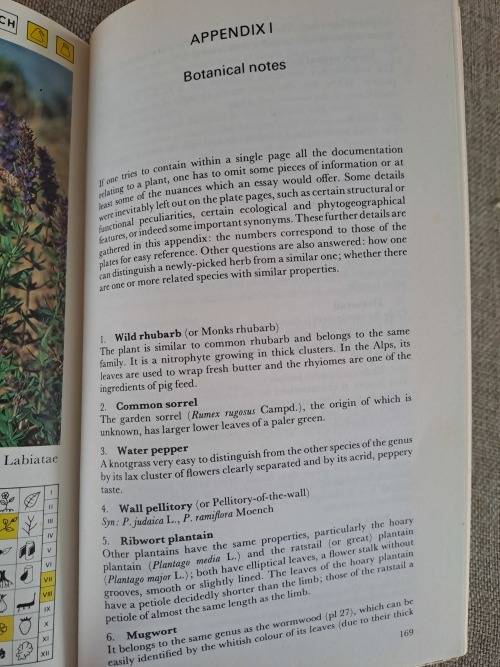 Wild Herbs a field guide: Aromatic, Medicinal, Culinary