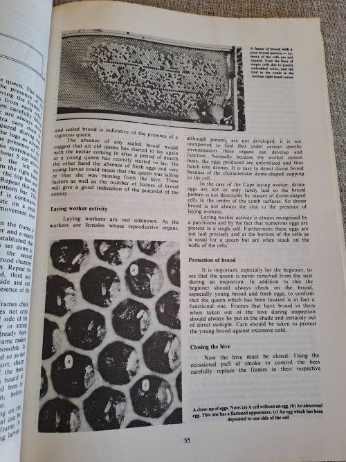 Beekeeping in South Africa - Anderson, Buys, Johannsmeier