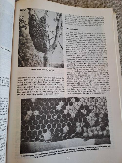 Beekeeping in South Africa - Anderson, Buys, Johannsmeier