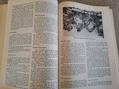 Beekeeping in South Africa - Anderson, Buys, Johannsmeier