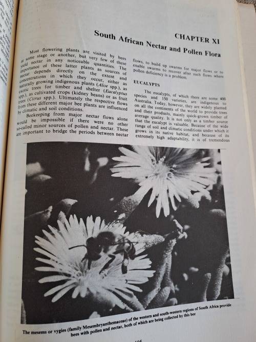 Beekeeping in South Africa - Anderson, Buys, Johannsmeier