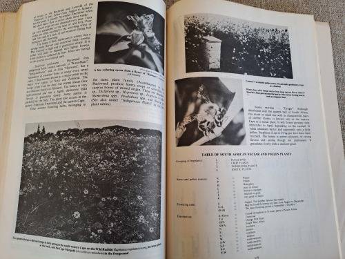 Beekeeping in South Africa - Anderson, Buys, Johannsmeier