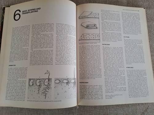 The A-Z of Vegetable Gardening in South Africa - Jack Hadfield