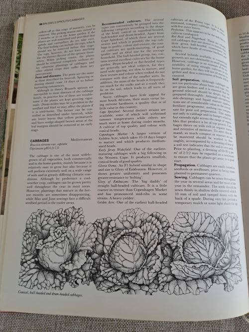 The A-Z of Vegetable Gardening in South Africa - Jack Hadfield