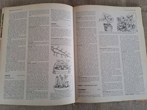 The A-Z of Vegetable Gardening in South Africa - Jack Hadfield