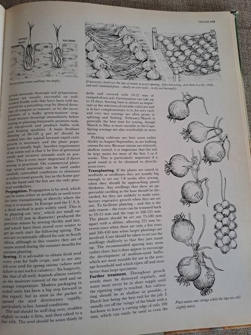 The A-Z of Vegetable Gardening in South Africa - Jack Hadfield