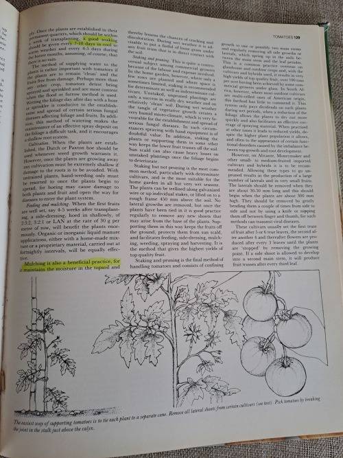 The A-Z of Vegetable Gardening in South Africa - Jack Hadfield