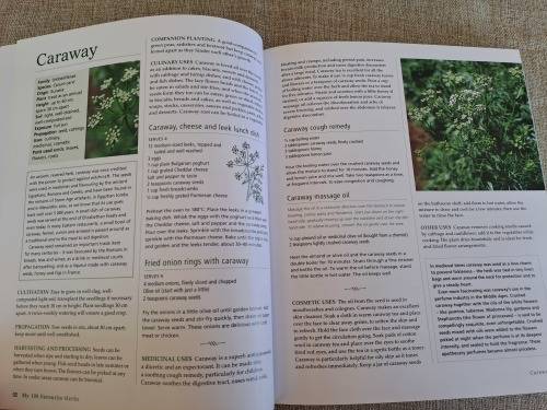 My 100 Favourite Herbs