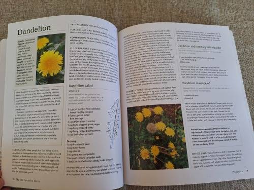 My 100 Favourite Herbs