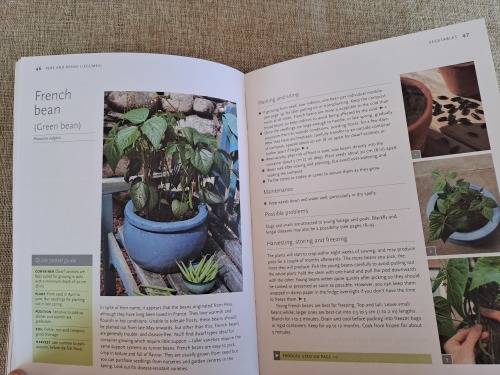 Pot It Grow It Eat it - Kathryn Hawkins