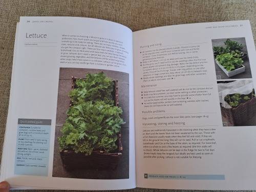 Pot It Grow It Eat it - Kathryn Hawkins