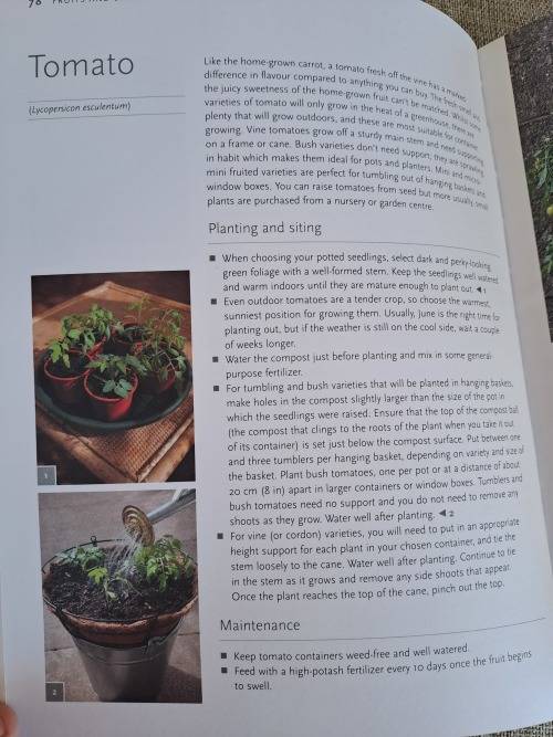 Pot It Grow It Eat it - Kathryn Hawkins