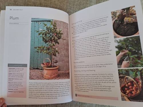 Pot It Grow It Eat it - Kathryn Hawkins