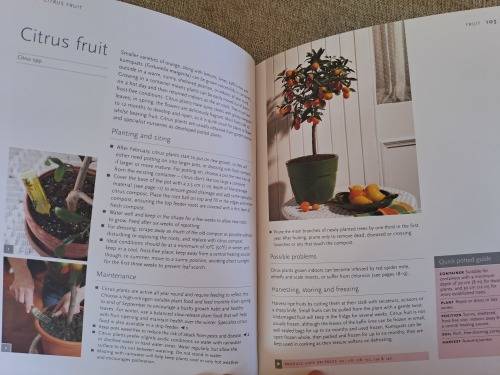 Pot It Grow It Eat it - Kathryn Hawkins