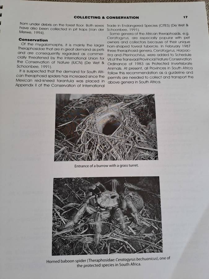 Baboon and Trapdoor Spiders of Southern Africa: An Identification Manual plus CD