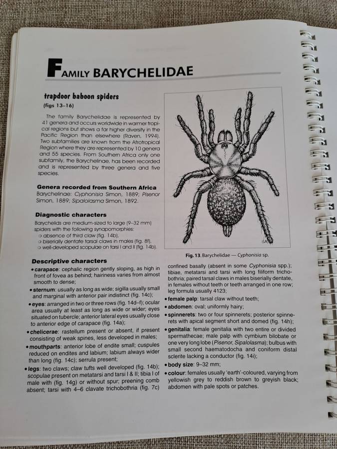 Baboon and Trapdoor Spiders of Southern Africa: An Identification Manual plus CD