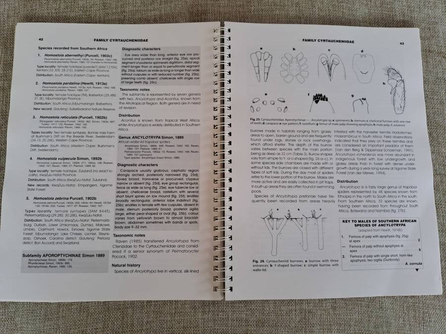 Baboon and Trapdoor Spiders of Southern Africa: An Identification Manual plus CD