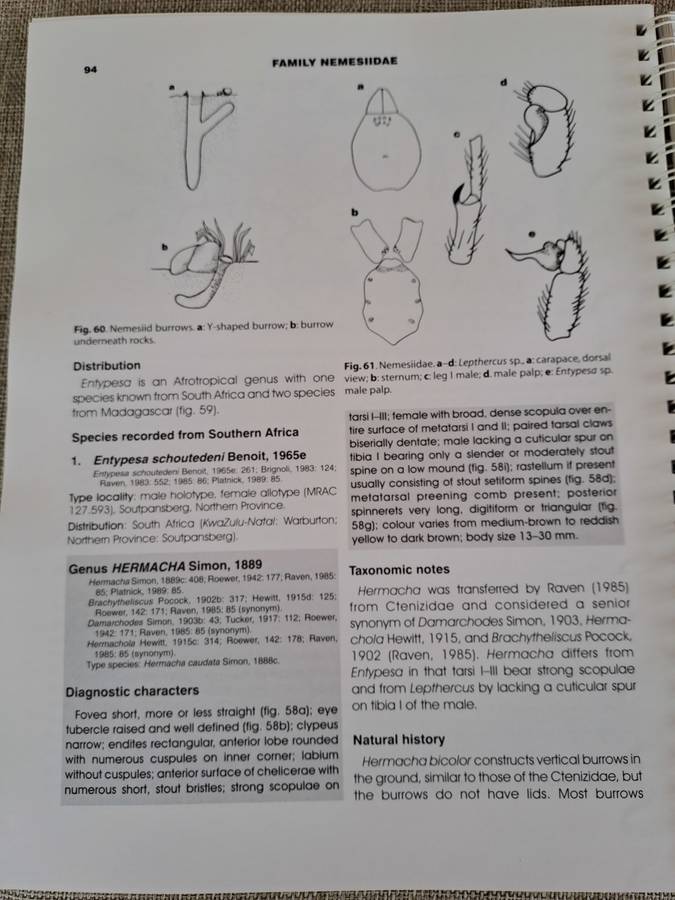Baboon and Trapdoor Spiders of Southern Africa: An Identification Manual plus CD
