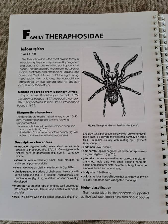 Baboon and Trapdoor Spiders of Southern Africa: An Identification Manual plus CD