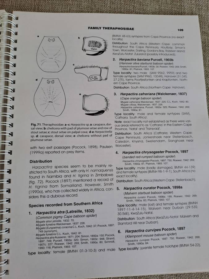 Baboon and Trapdoor Spiders of Southern Africa: An Identification Manual plus CD