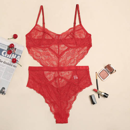 Tracy`s Dog Lingerie