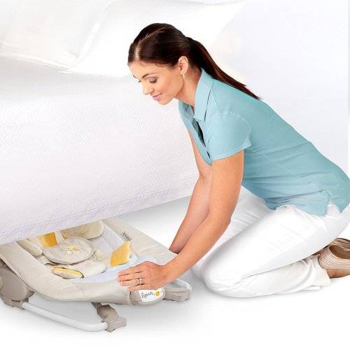 Ingenuity Rock'n Soothe  Baby Rocker - Quacks & Cuddles
