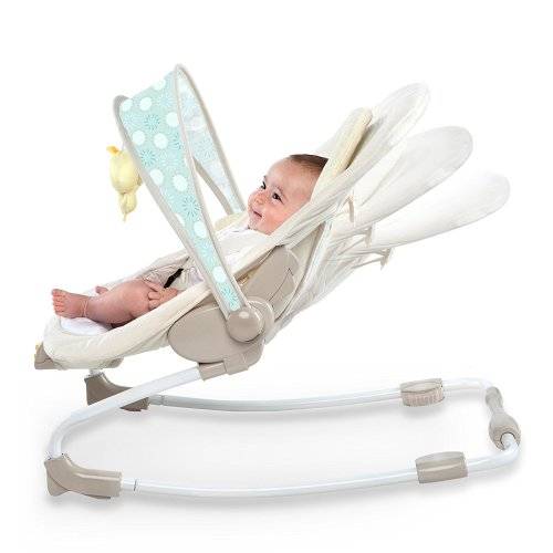 Ingenuity Rock'n Soothe  Baby Rocker - Quacks & Cuddles