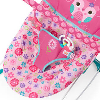 Bright Starts Happy Flowers Vibrating Bouncer