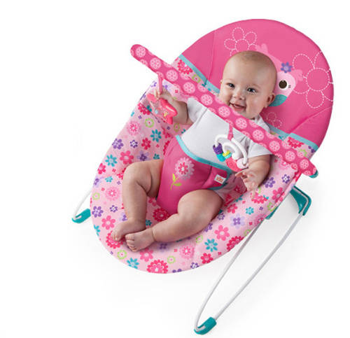 Bright Starts Happy Flowers Vibrating Bouncer