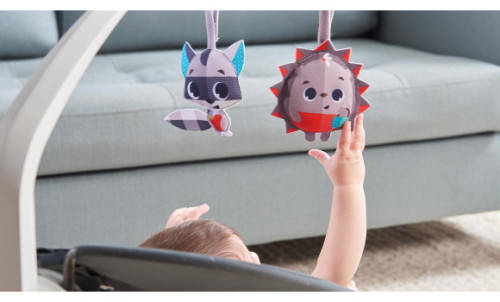 Tiny Love Nature's Way Bounce and Sway & Bright Starts Toy COMBO