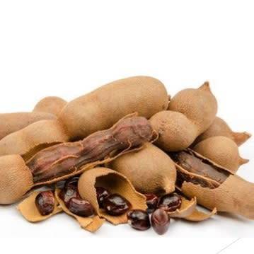Sweet Tamarind, Indian Date Tree - Tamarindus indica - 5 Seeds - Combined Shipping