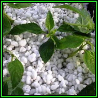 1 Liter Horticultural Perlite - Soil Conditioner Sterile Hydroponic Grow Medium - Ultra Lightweight