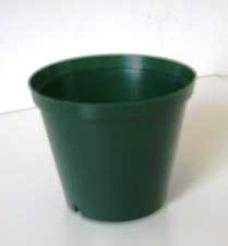 10 cm Plastic Plant Pot ~ Green