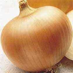 Yellow Sweet Spanish Onion Seeds - Allium cepa - Vegetable Seeds