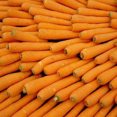 100 Carrot Tendersweet Seeds â Daucus carota subsp. sativus - Heirloom Vegetable Seeds