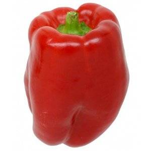 50 Keystone Giant Bell Pepper Seeds - Capsicum annuum - Bulk Vegetable Seeds