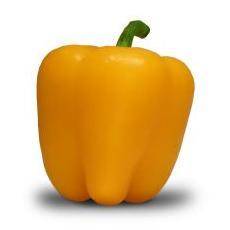 5 Ballito Yellow Sweet Bell Pepper Seeds - Capsicum annuum - Vegetable