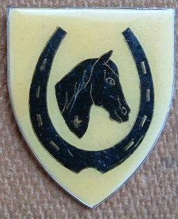 SADF EQUESTRIAN CENTRE SHOULDER FLASH