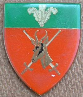 SADF SOUTHERN CAPE COMMAND SHOULDER FLASH