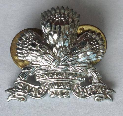 SADF ARMOURED CORPS BERET BADGE