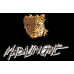 Mabalingwe Nature Reserve 2/03/2015 - 6/03/2015