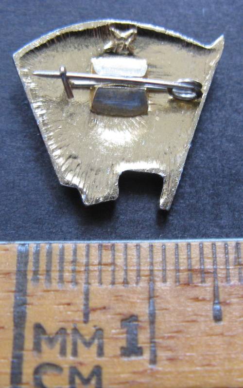 CCCP USSR All-Union Leninist Young Communist League badge.