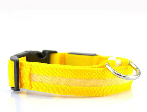 LED Dog Pet Collar (Yellow, Medium)