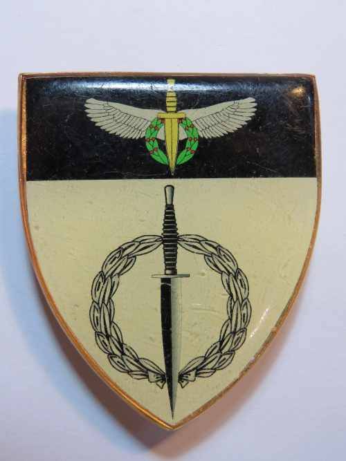 SA Recce Special Forces fantasy flash